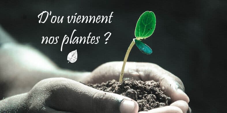 D'ou viennent nos plantes ?